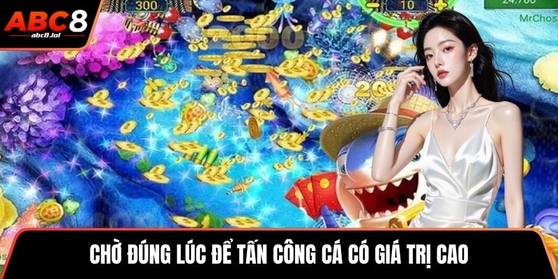 Chờ đúng lúc để tấn công cá có giá trị cao