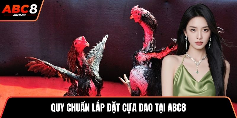 Quy chuẩn lắp đặt cựa dao tại ABC8